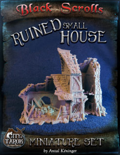 Ruined Small House