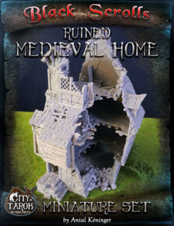 Ruined Home