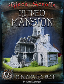 Ruined Mansion