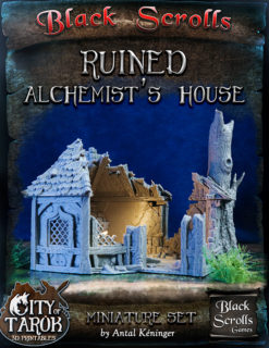 Ruined Alchemist's House