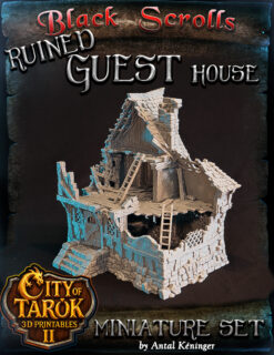 Ruined Guest House - Tarok 2